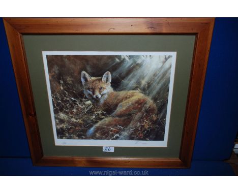 A framed and mounted limited edition Print 'The Satisfied Fox', no. 45/500, signed Mick Cawston.