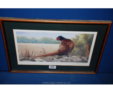 A framed and mounted limited edition Print of a Cock Pheasant, no. 144/600, indistinctly signed.