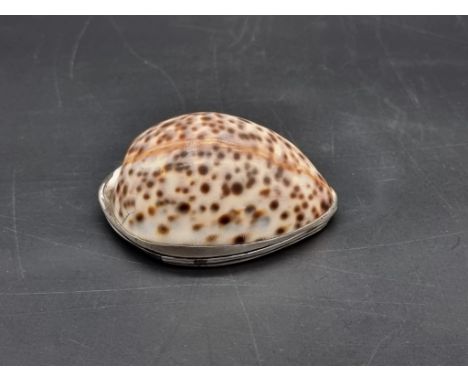 An antique white metal mounted cowrie shell snuff box, 8.5cm wide.