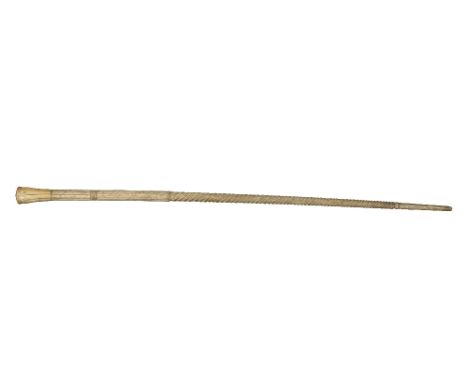 An important and rare 19th Century carved Narwhal ivory Tusk, now a Walking Stick, 85cms (33 1/2") long, with turned and reed