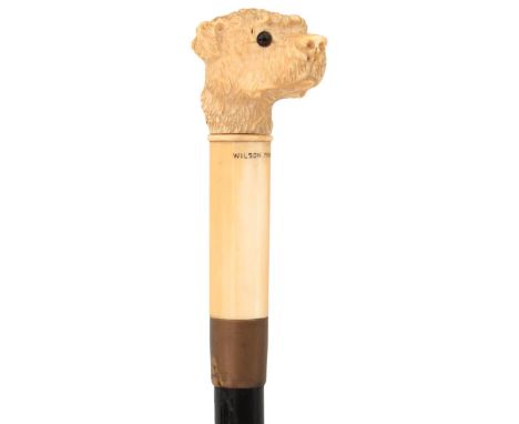 A LATE 19TH CENTURY WALKING CANE, the ivory handle carved as the head of a rough coated dog above tall ivory collar inscribed