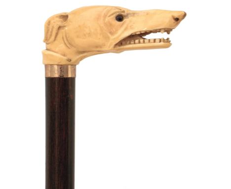 A 19TH CENTURY WALKING CANE, the ivory handle carved as the head of a greyhound with glass eyes, slender haft, horn ferrule, 