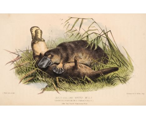 Bennett (George). Gatherings in Australia: Being observations principally on the animal and vegetable productions of New Sout