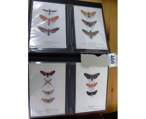 ALBUM OF 190 VINTAGE LONDON MUSEUM, MOTHS / SPIDERS ETC