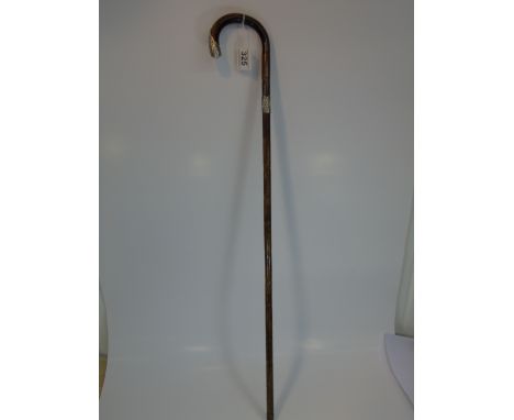 WALKING STICK WITH HALL MARKED SILVER MOUNTS / BANDS