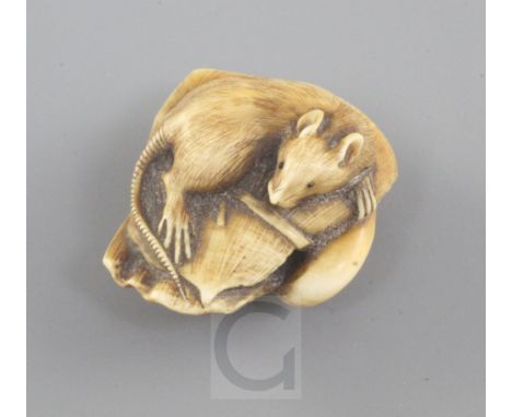 A Japanese ivory netsuke, 19th century, modelled as a rat on a folded over leaf with an octopus' tentacle appearing from one 