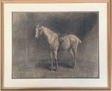 After H K? 1904, charcoal study of a hunter, 45x58cm 