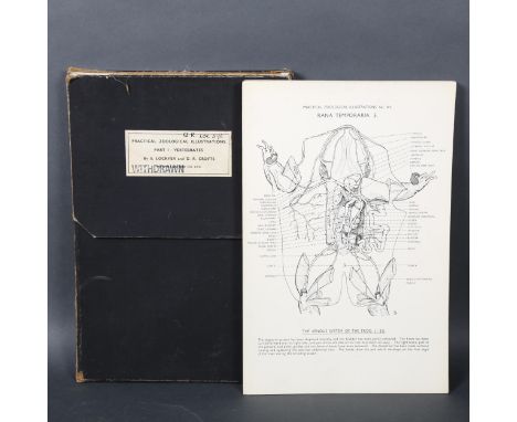 Practical Zoological Illustrations, Part 1 - vertebrates, by S Lockyer and D R Crofts, dated February 1937, cased. 