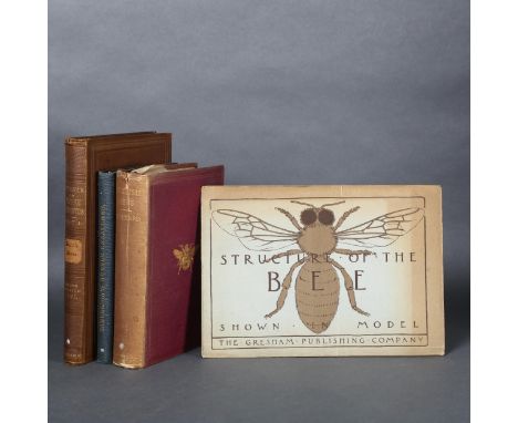 A small selection of titles on Bees:The Honey-Bee, It's Natural History, Habits and Anatomy andMicroscopical Beauties, James 