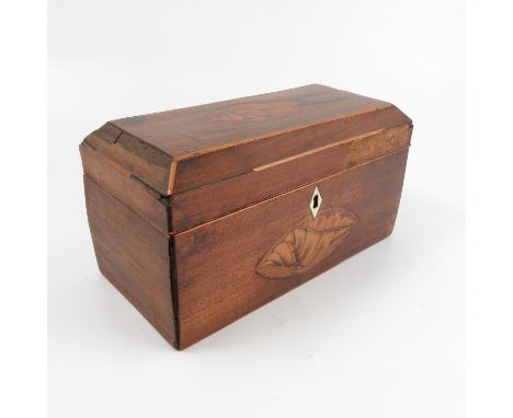 A 19th century mahogany tea caddy, inlaid with shells to the top and front with satinwood stringing, af, width 9.5ins