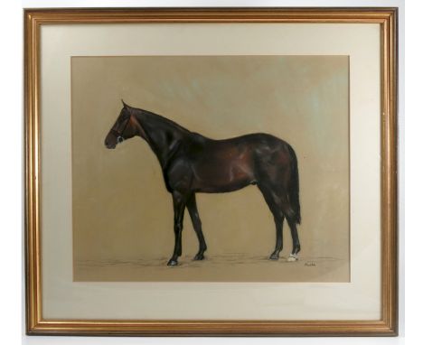 Nuala, pastel, portrait of a bay horse, 16ins x 20ins