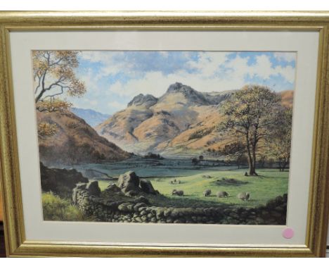 Stephen Darbishire, (contemporary), after, a print, Langdales, 24 x 34cm, mounted framed and glazed, 36 x 46cm