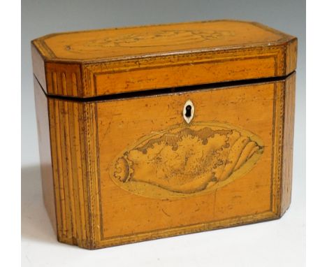 A Sheraton period canted rectangular satinwood tea caddy the hinged top and front boldly inlaid with shaded shell oval patera