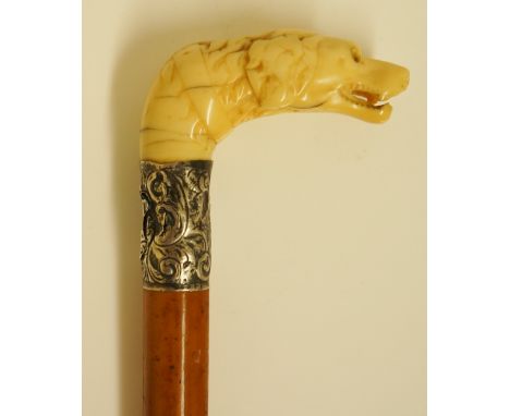 A walking stick, the ivory terminal carved with a dog's head, silver coloured metal collar with foliate design, rubber ferrul