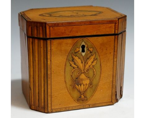 A Sheraton period satinwood tea caddy the hinged lid with shaded shell patera on a hare wood ground, the front with shaded fl