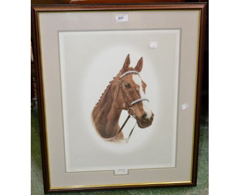 A limited edition print - Aldaniti by A J Gadd, 78/850