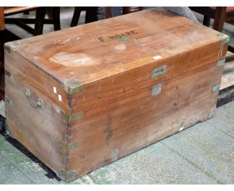 A camphorwood trunk