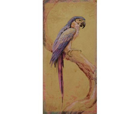 R Joyce, Parrot on a branch, watercolour, signed lower left, 25 x 13cm, unframed