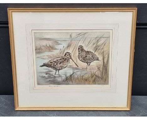 Henry Wilkinson,&nbsp;'Snipe', signed and numbered 67/150, colour engraving, pl.25 x 34cm. 