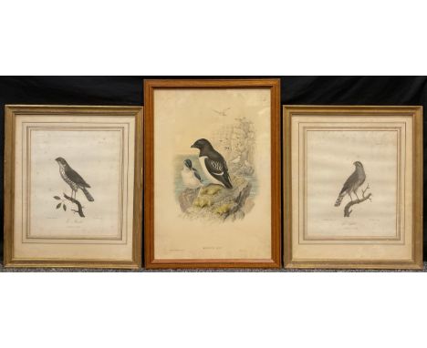 Lebrecht Reinold, after, by C. M. Fessard, a pair, 'Le Gabar', and Le Minule  coloured engravings, 34cm x 28.5cm;  J. Gould, 
