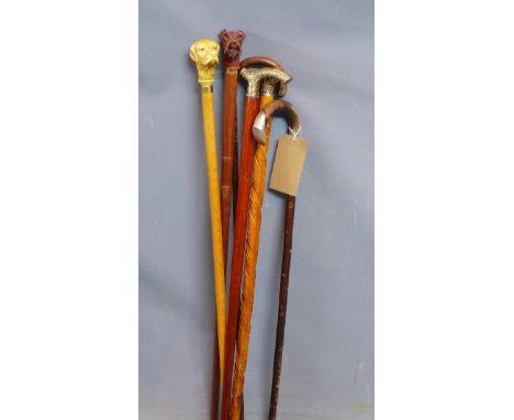 A collection of six walking sticks, to include a Victorian walking stick with white metal mounted handle, bears makers mark J