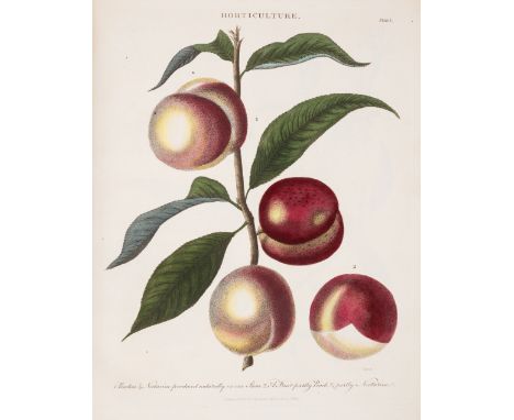 Botany.- Wilkes (John) [Encyclopaedia Londinensis], a collection of botanical plates bound in 2 vol., 134 hand-coloured engra