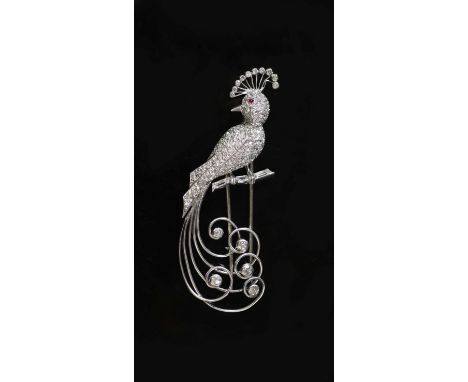 An early to mid 20th century French 18ct white gold and diamond encrusted 'bird of paradise' clip brooch,set with round and b