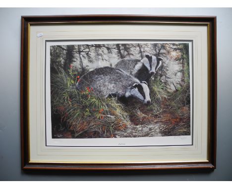DOROTHY HYDE. Framed, glazed, signed and numbered, 20th Century, print, title to work ‘Exploring’, wildlife portrait of two b