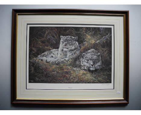 DOROTHY HYDE. Framed, glazed, signed and numbered, 20th Century, print, title to work ‘Watchful’, wildlife portrait of two wh