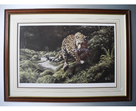 HODGE. Framed, glazed, signed and numbered, 20th Century, print, wildlife portrait of a leopard stalking across mossy rocks s