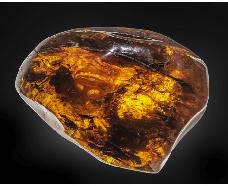 Grande pépite d'ambre vert fluorescent Large, Fluorescent Green Amber NuggetHymanea mexicanaOligocene Chiapas, MexicoChiapas 