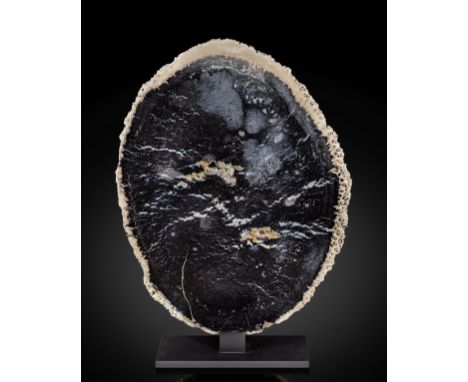 Tranche de bois de palmier pétrifié  Petrified Palm Wood SlabPalmoxylon sp.OligoceneBarisan Mountains, Sumatra, IndonesiaThis