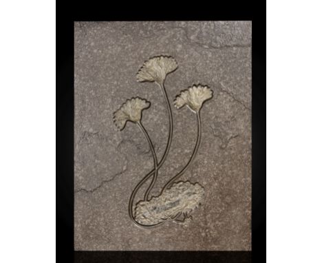 Triple lys de mer fossile  Triple Fossil Sea LilliesSeirocrinus subangularisLower JurassicPosidonienschiefer Formation, Holzm