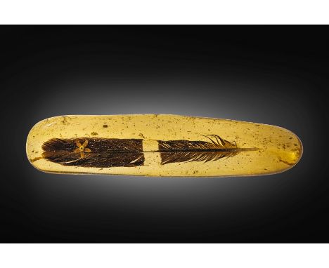Rare morceau de copal renfermant une plume et une graine Rare Feather and Seed in CopalHoloceneCap d'Ambre, MadagascarThis ou