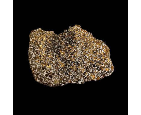 Tranche polie et gravée de météorite pallasite de Séricho  Sericho Meteorite – Polished and Etched SlicePallasiteNorth Centra