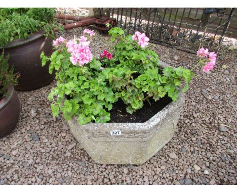 Large octagonal stone planter with contents