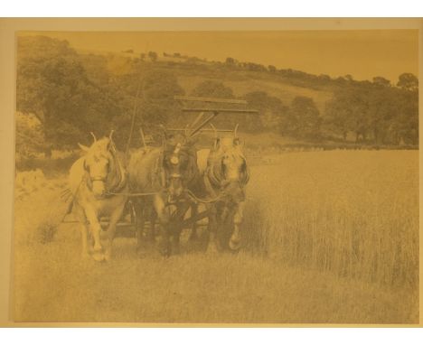 A folio of mid 20th century photographs of Devon and its environs, including;- Goodrington, Brixham, Salcombe and Torquay, ma