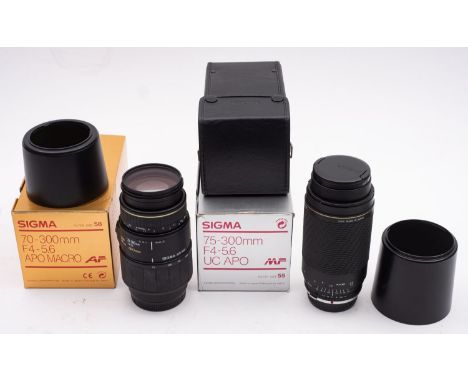 A Sigma (Minolta) 70-300mm f1:4-5.6 APO macro lens,  serial number 3119719 and a Sigma (Olympus) 75-300mm f1:4-5.6 UC APO len