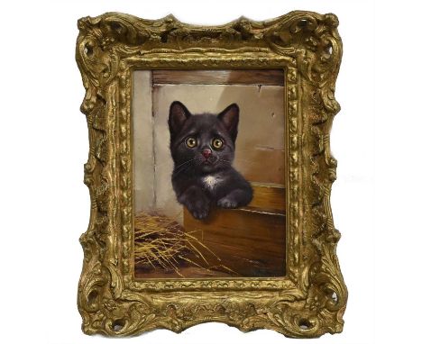 BESSIE BAMBER (BRITISH fl.1900 - 1910), BLACK KITTEN oil on board, monogrammedframedimage size 17cm x 13cm, overall size 26cm