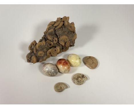 A collection of three loose ammonite fossils and a block of ammonite fossils together with three decorative marble/stone egg 