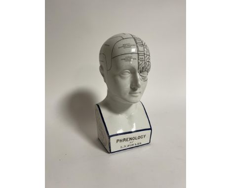 After L.N. Fowler, 'Phrenology' ceramic head (h. 30cm) 