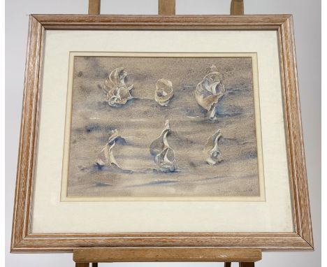 Barbara Hancock, Spiral Shells I, watercolour, signed and dated 88 bottom right, artist label, in a glazed frame. (26cmx32cm)