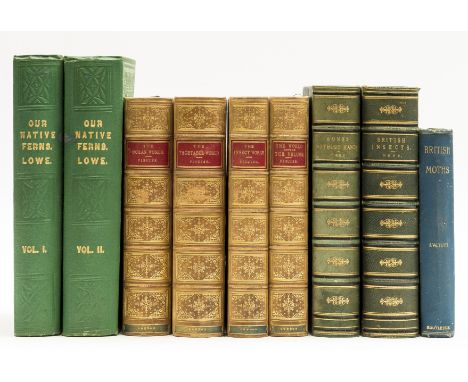 NO RESERVE Lowe (Edward Joseph) Our Native Ferns, 2 vol., 79 colour plates, tissue guards, illustrations, occasional spotting