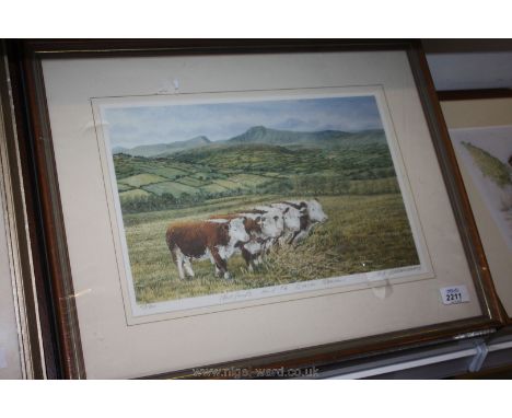 A framed and mounted limited edition Print no. 183/500 'Hereford's on the Brecon Beacons' signed S.R. Williams together with 