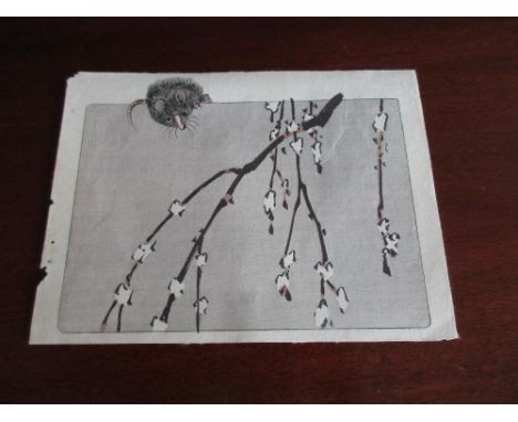 Shibata Zeshin (1807-91), a wood block print depicting a rat above willow catkins from the Hasa Kurabe series, 19 x 25.5cm (7