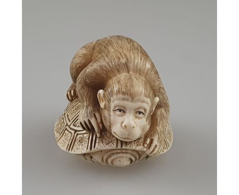 Netsuke - Japan, ca. Taishô-Zeit, Elfenbein geschnitzt, graviert und partiell dunkel eingefärbt, Katabori, auf einer sich in 