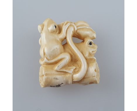 Katabori-Netsuke - Froschpaar auf Lotoskapsel, Elfenbein geschnitzt, dunkel eingelegte Augen, Himotoshi und Signatur auf der 