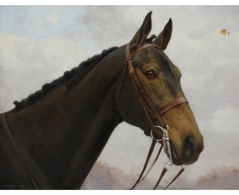 ‡ Frances Mabel Hollams (1877-1963) Portrait of a racehorse Signed Oil on board 37.2 x 47.2cm Provenance: Vicars Brothers, Lo
