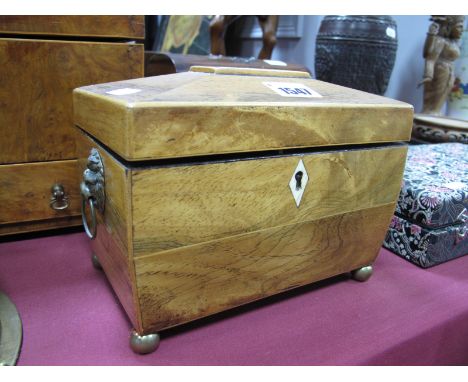 A XIX Century Rosewood Tea Caddy, of sarcophagus form, boxwood, stringing, bone escutcheon on brass ball feet and lion mask h