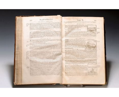 Giovanni Piero Valerianus Bolzano: Hieroglyphica, sive de sacris aegyptiorum aliarumque gentium literis commentarii 1602,  Na